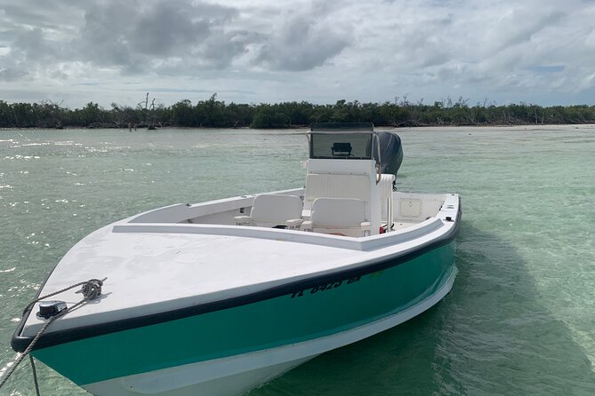 Private Boat Tour to Sand Bar Snorkel Dolphins and Sunset - The Experience of Vaughn Willis: Local Knowledge and Friendly Service