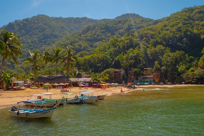 Private Boat Tour to Yelapa with Snorkeling and Waterfall Hike - Key Points