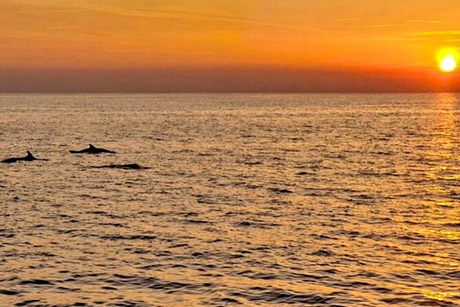 Private Boat Tour with activities in Pula Croatia - Scenic Return and Coastline Views