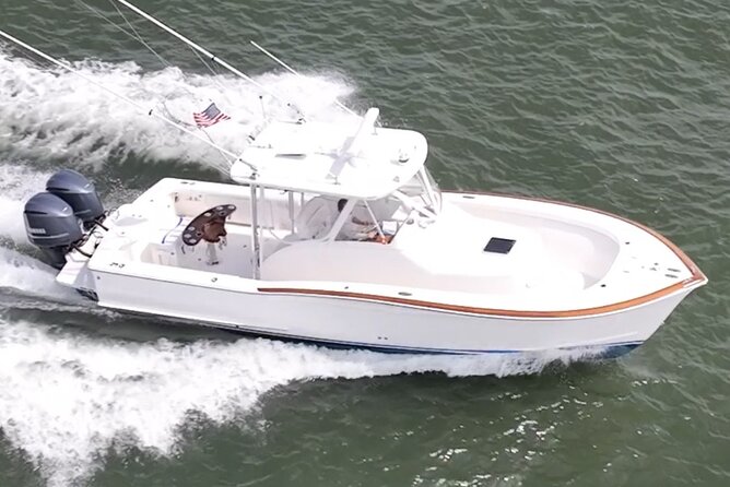 Private Boat Tours and dolphin encounters in Avalon NJ - An Exclusive 4-Hour Private Boat Experience in Avalon NJ