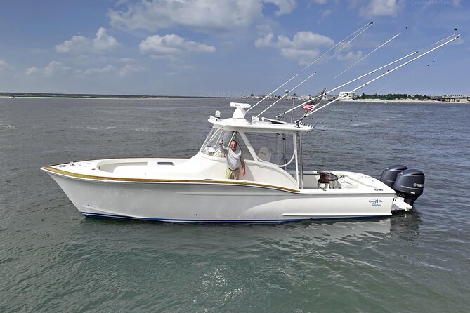 Private Boat Tours and dolphin encounters in Avalon NJ - Key Points