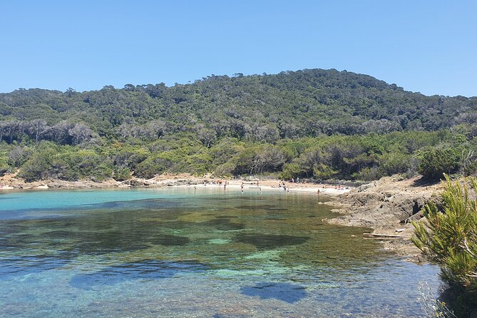 Private boat trip around the island of Port Cros. - The Experience of the Tour Guide and Overall Service