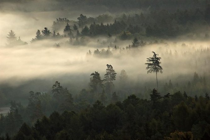 Private Bohemian Paradise national park luxury tour All-Inclusive - Why This Tour Excels: Highlights and Strengths