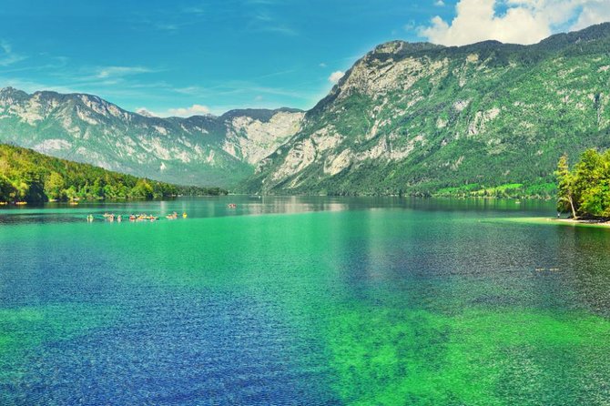 Private Bohinj & Vogel Tour from Bled - Insights from Past Feedback