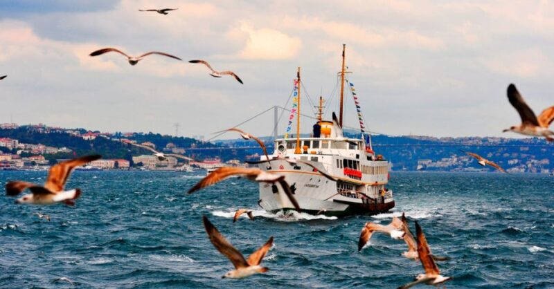 Private Bosphorus Sightseeing Cruise By Luxury Yacht - Optional Extras: Food, Drinks, and Additional Services