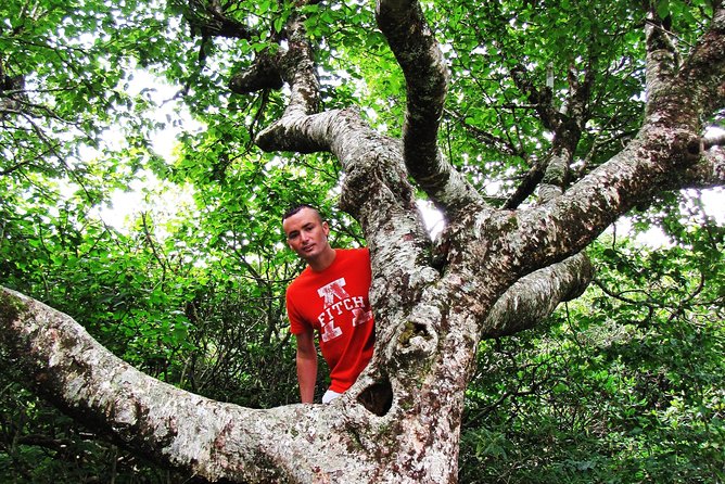 Private Boutique Blue Ridge Parkway Full Day Tour - Moses H. Cone Memorial Park: Folk Art and Carriage Roads