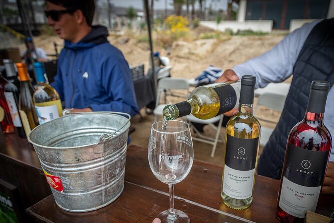 Private Boutique Wine Tour in Valle de Guadalupe - The Experience of Visiting Small, Family-Run Wineries