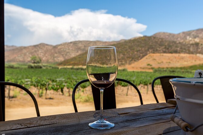 Private Boutique Wine Tour in Valle de Guadalupe - The Human Element: Owner Josh’s Passion for Mexico