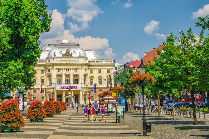 Private Bratislava Grand City Tour - From the Old Town to the Castle District