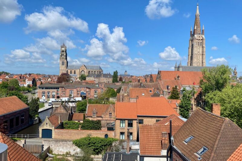 Private Bruges Full-day trip by Mercedes from Paris - Accessibility and Practical Considerations