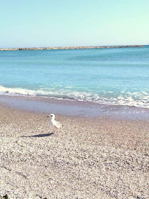 Private Bucharest Tour: Discover Constana & Black Sea Coast - Scenery and Pacing on a 2.5-Hour Drive Each Way