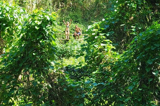 Private Bucket List Adventure Day- Hikes, Beaches, Waterfalls - The Tour Starts in Honolulu with a Private Pickup