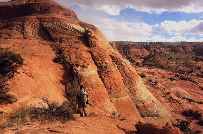 Private Buckskin Gulch Tour - Why Choose This Private Buckskin Gulch Experience?