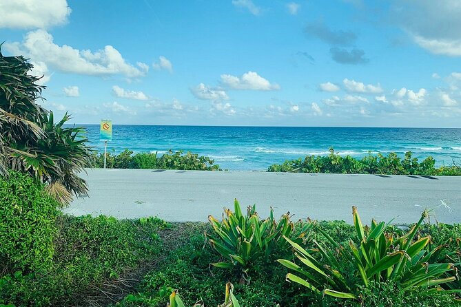 Private Buggy Tour in Cozumel, Snorkel & Lunch: All Inclusive - Sampling Top Tequilas at Hacienda Ixtlan