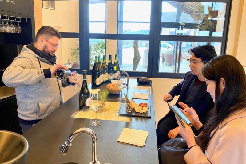 Private Burgundy 3 Domaines Chateau Pommard Chablis 15 Wines - Burgundy’s Premier Private Wine Tour: 3 Domains and 15 Wines