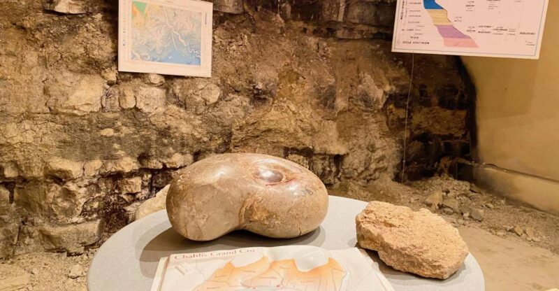 Private Burgundy 3 Domaines Chateau Pommard Chablis 15 Wines - Maison Régnard Chablis: A Historic Domaine