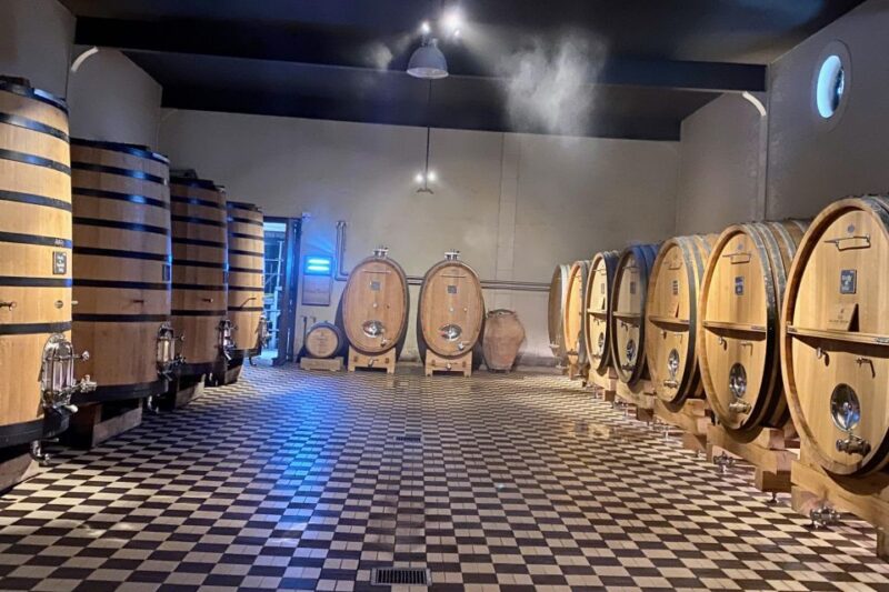 Private Burgundy 3 Domaines Chateau Pommard Chablis 15 Wines - Free Time in Chablis for Lunch and Exploration