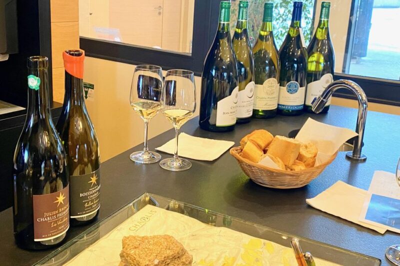 Private Burgundy 3 Domaines Chateau Pommard Chablis 15 Wines - Return Journey to Paris with a Rest Stop