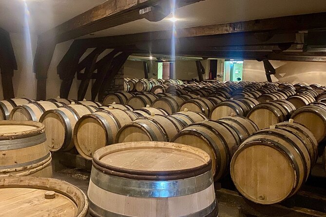 Private Burgundy 4 Domains 20 Chablis Wines tasting from Paris - Critical View: Strengths and Limitations