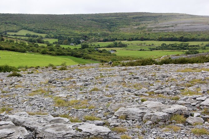 Private Burren and Cliffs of Moher Full Day Tour - Sampling Irish Flavors at Doolin and Fanore Beach