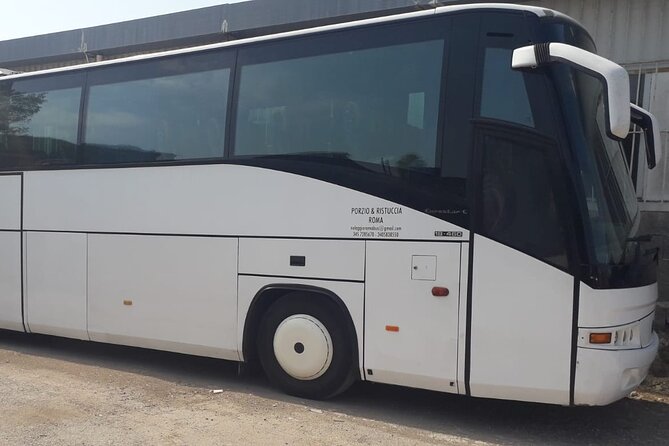 Private Bus from Trieste Cruise Port to Venice, piazzale Roma - Drop-off Location and Convenience in Venice