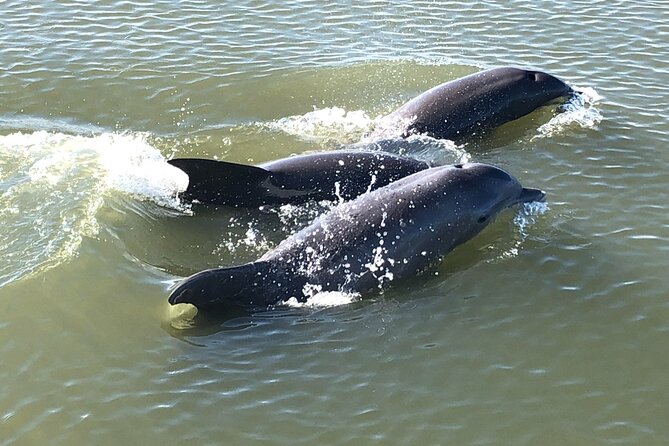 Private BYOB Afternoon Harbor Sail On 50ft Sailing Yacht Fate - Highly Praised Crew and Seamless Experience