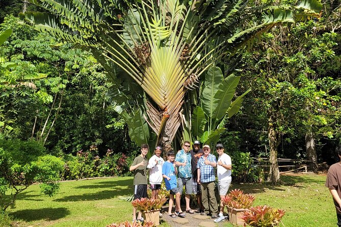 Private: Byodo-in Temple with Discounted Waimea Botanical Garden - Who Will Appreciate This Tour Most