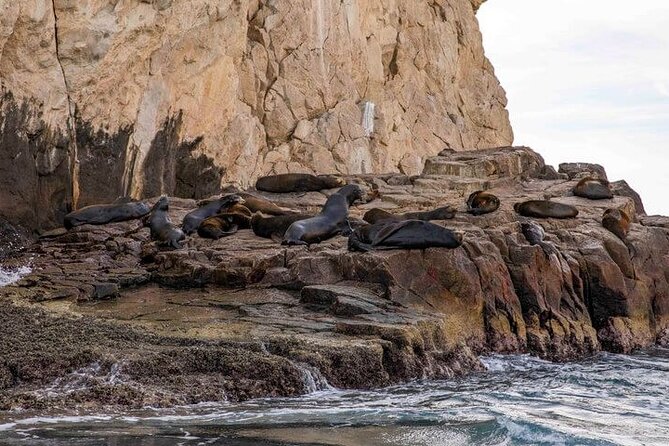 Private Cabo San Lucas City Tour - Who Will Enjoy This Tour Most?