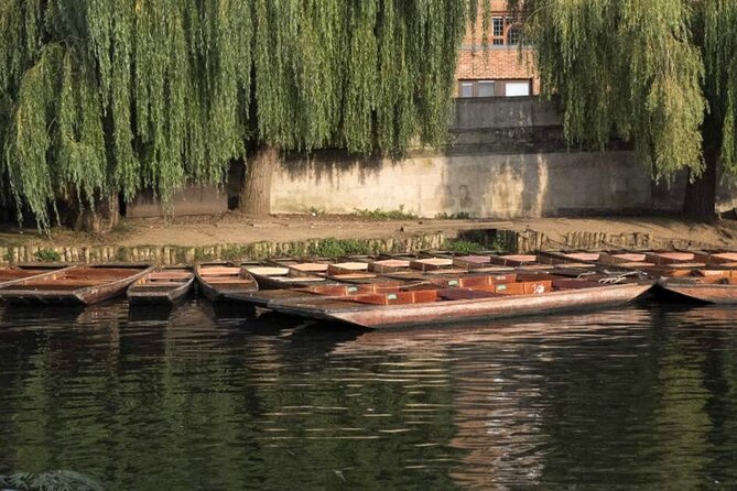 Private Cambridge Punting Tour - Practical Details and Accessibility