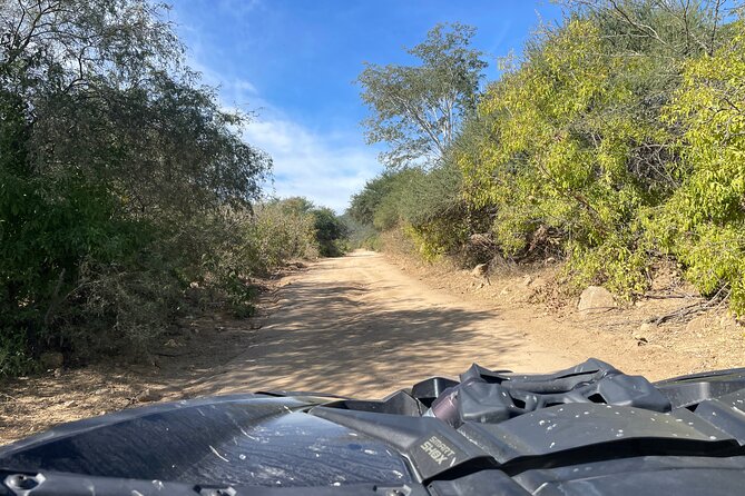 Private Can-Am Maverick X3 Off-Road Adventure in Cabo San Lucas - Scenic Photo Stops: Views that Capture Baja’s Beauty