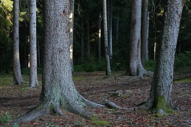 Private Canyon&Cave Tour from Kutaisi(Martvili-Okatse-Prometheus) - Exploring Kutaisi and Local Cuisine Recommendations
