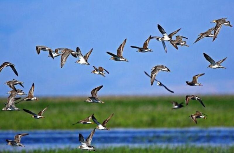 Private Cappadocia Underground City Visit(Car and Driver) - What to Expect During Your Visit