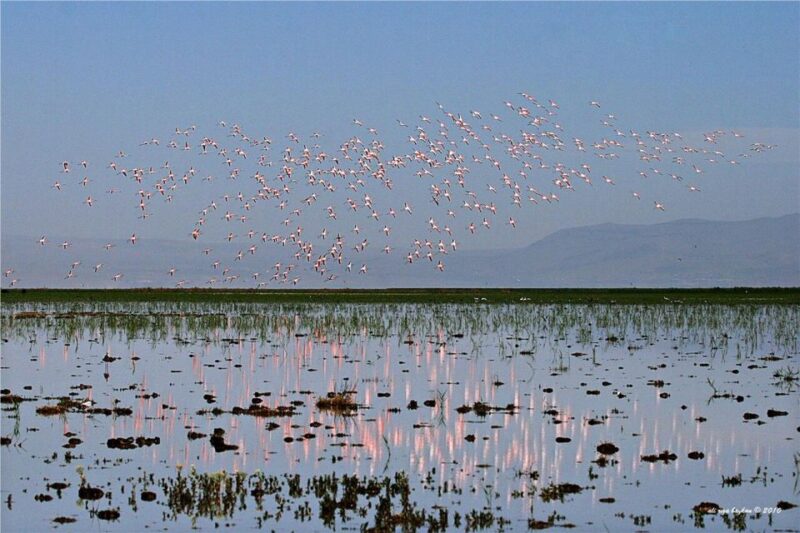 Private Cappadocia Underground City Visit(Car and Driver) - Limitations and Considerations