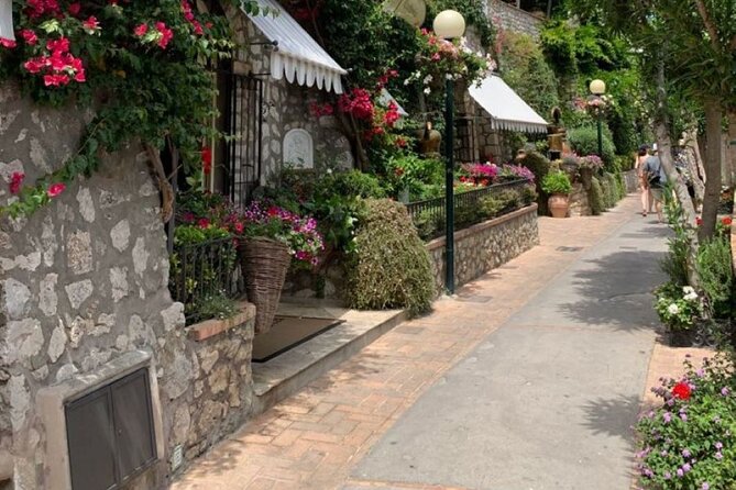 Private Capri and Blue Grotto Day Tour From Sorrento - Monte Solaro: The Highest Viewpoint on Capri