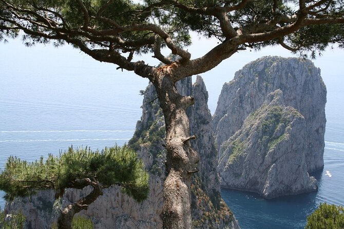 Private Capri Blue Grotto No Stress Tour With Kids From Naples - Key Points