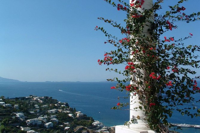 Private Capri Blue Grotto No Stress Tour With Kids From Naples - Climbing Monte Solaro for Panoramic Views