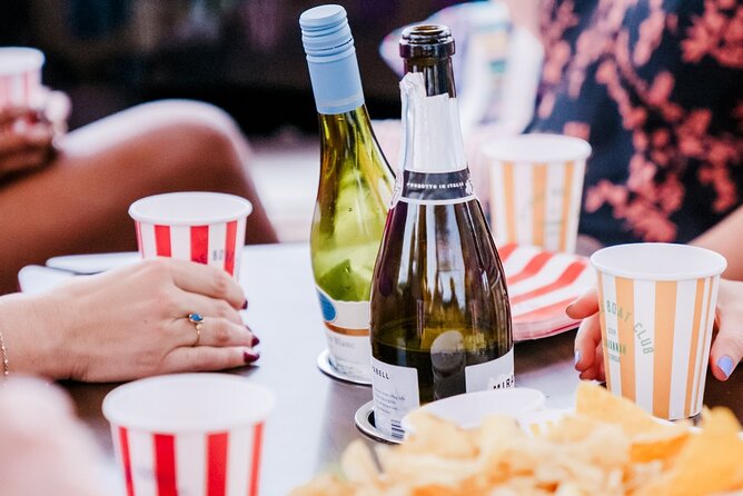 Private Captained Luxury Electric Boat Charter in Savannah - What You Can Bring and Practical Details