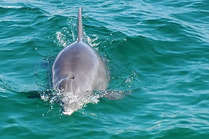 Private Captained Pontoon to Crab Island in Destin 3,4,5, or 6 Hr - Crab Island and the Best Spots for Fun