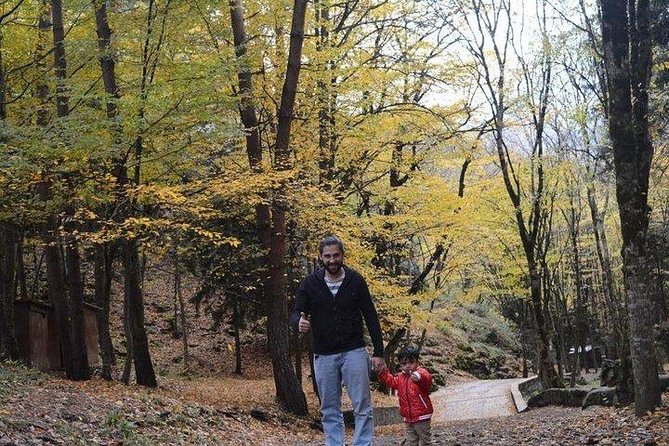 Private Car - From Tbilisi, Kutaisi, Martvili Canyons, caves - Key Points