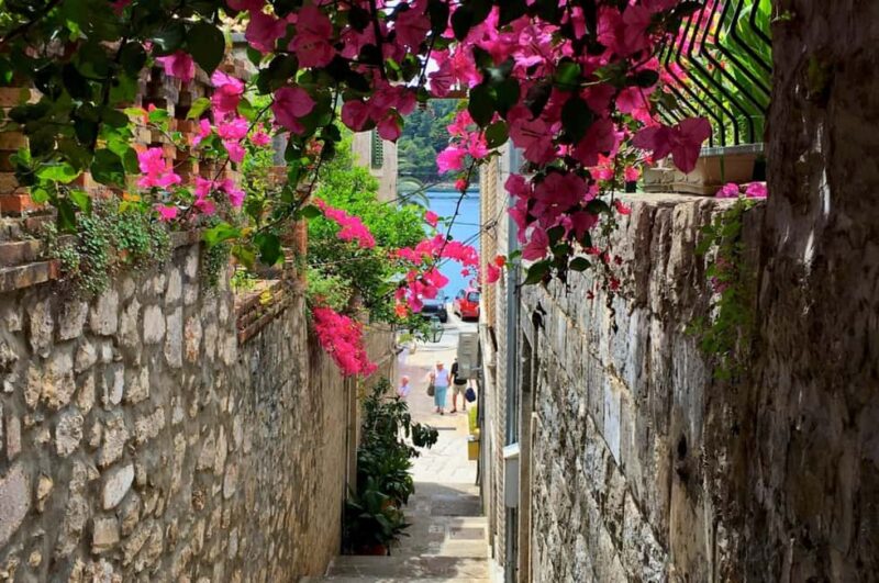 Private Car Tour Dubrovnik Panorama and Surrounding Area - Who Will Enjoy This Dubrovnik Panorama Tour