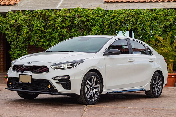 private car tour with driver - Discover Oaxaca in Comfort with a Private Car and Driver