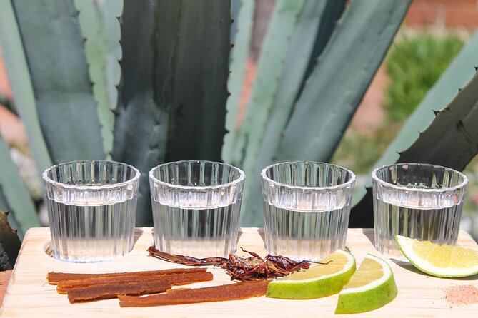 private car tour with driver - Included Transportation and Customer Flexibility