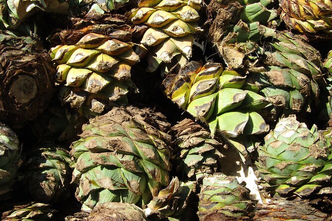 private car tour with driver - Who Should Consider This Tour