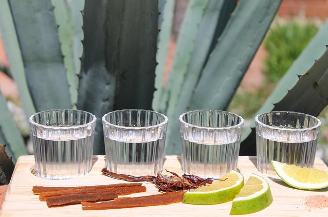 private car tour with driver - Limitations and Considerations