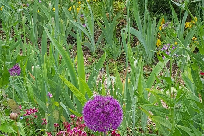 Private Car Trip to Giverny Garden from Paris - Cost and Value for Money