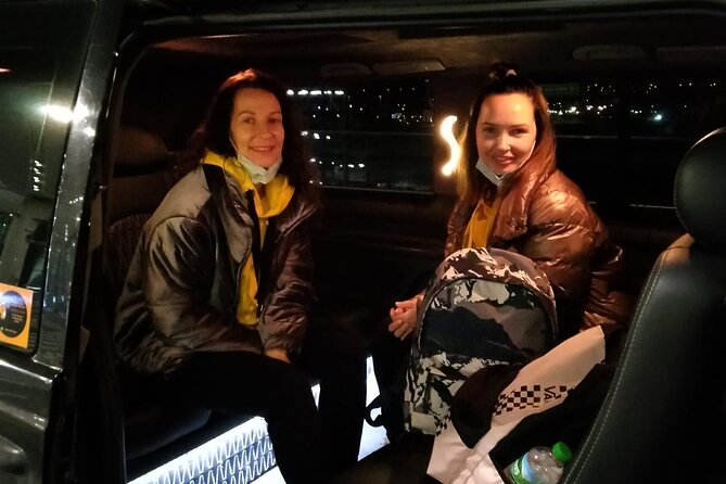 Private Car With Driver in Istanbul - What Makes This Transfer Stand Out?