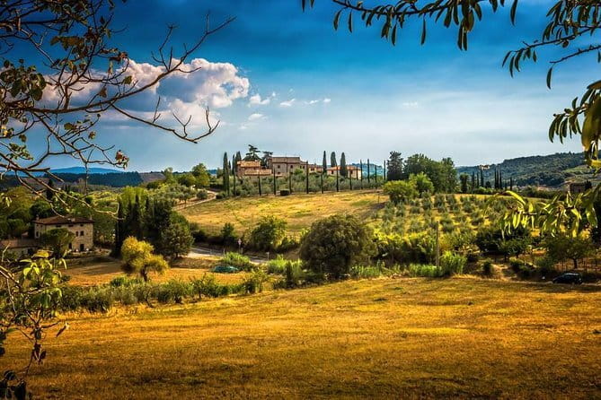 Private Carmignano Tour: The First Cabernet Sauvignon in Tuscany - Discover Tuscany’s Carmignano Wine Country with a Private Driver