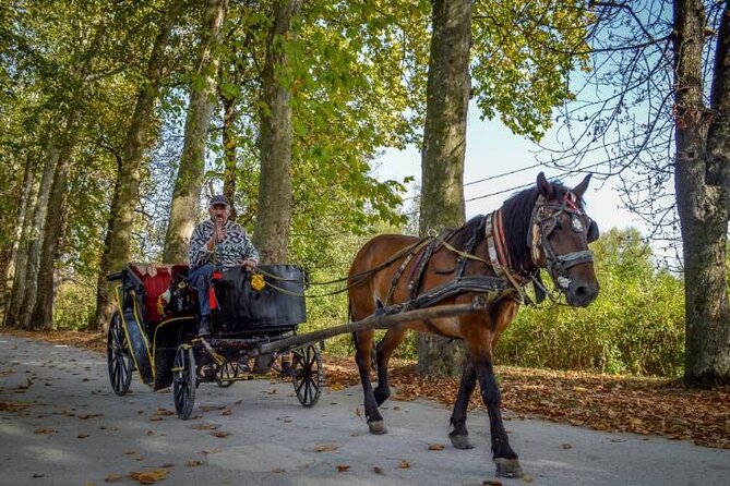 Private Carriage Ride in Vrelo Bosne Nature Park - Discover Sarajevo’s Vrelo Bosne with a Private Carriage Ride