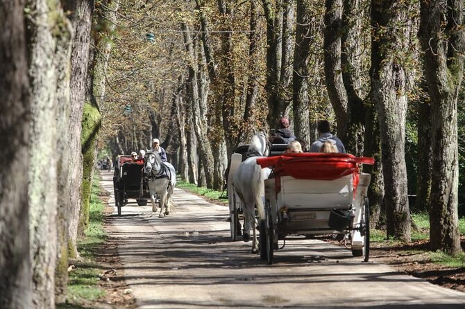 Private Carriage Ride in Vrelo Bosne Nature Park - Key Points