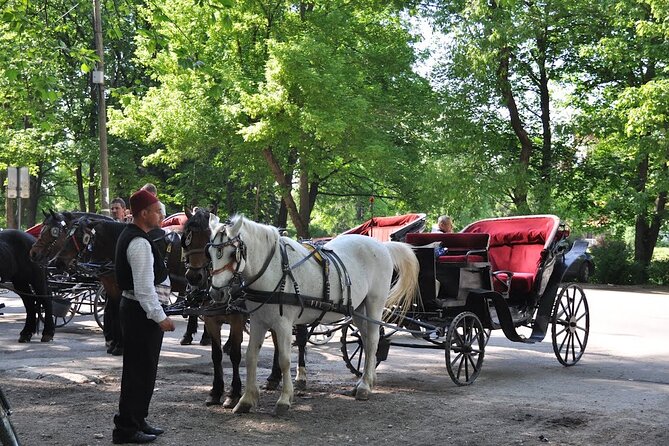 Private Carriage Ride in Vrelo Bosne Nature Park - Considerations and Limitations